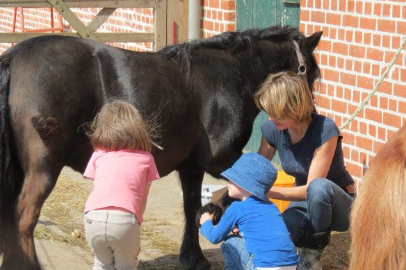 Coaching Met & Door Paarden - gallery 04.jpg - Coaching Met & Door Paarden, Lokeren